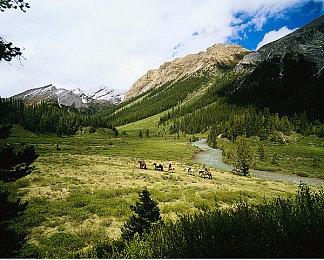 《鬼灭之刃 争当最强队士！》全新预告 7月17日上线Steam平台